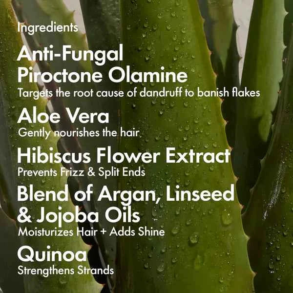 Bondi Boost Dandruff Repair Conditioner - Image 2