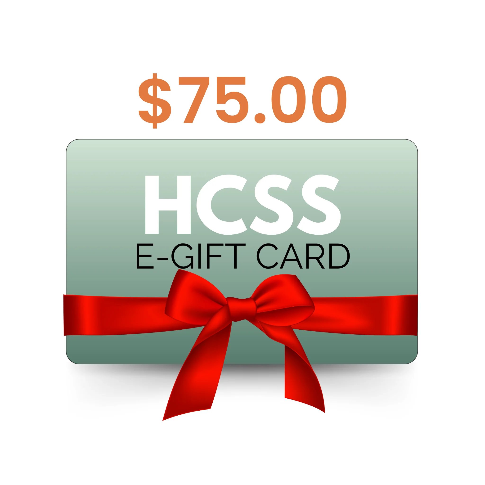 Haircare Superstore e-Gift Card - Image 4